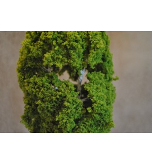 Breza (15,0cm)