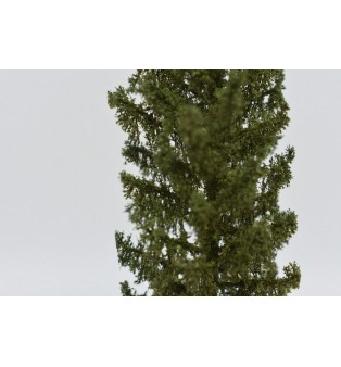 Smrek (10,5cm)