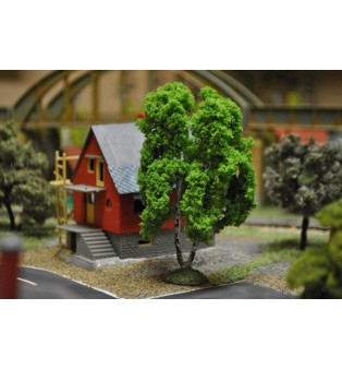 Breza dvojkmeň (11,0cm)