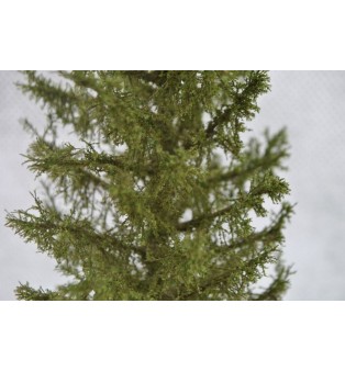 Smrek (17,0cm)