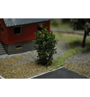 Listnaté kríčky (5ks) - výška 4,0-5,0cm