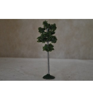 Borovica (10,0cm)