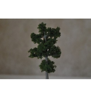 Borovica (10,0cm)